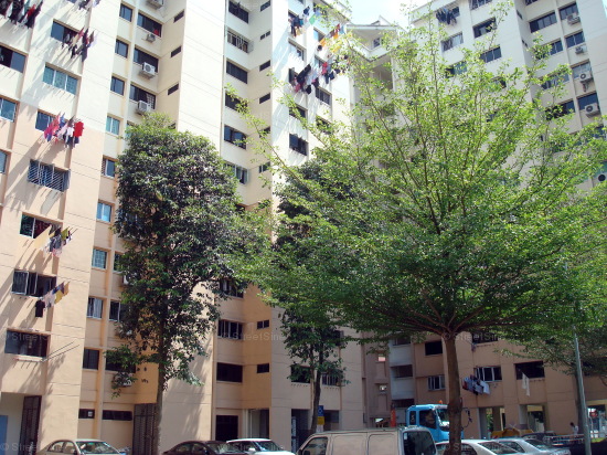 Yishun Ring Road thumbnail photo